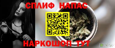 спайс Гусев